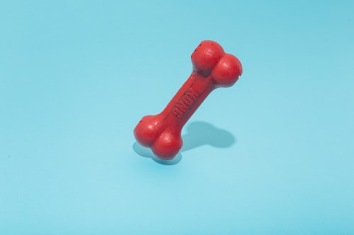 Mint green rubber dog chew toy bone